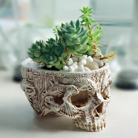 Hand Carved Skull Planter - Belly Pots