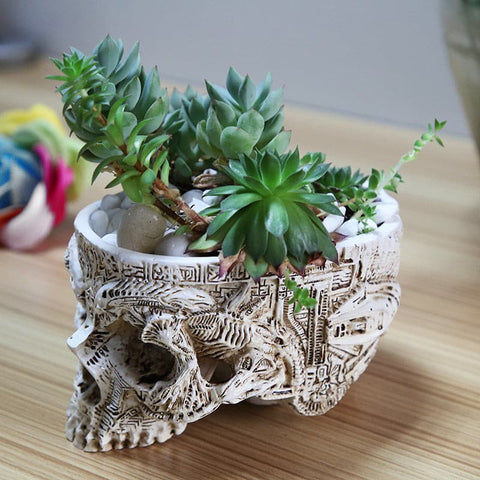 Hand Carved Skull Planter - Belly Pots