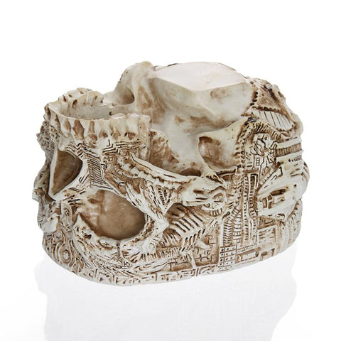 Hand Carved Skull Planter - Belly Pots