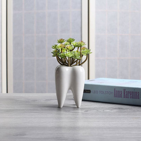 Tooth Shaped White Ceramic Flower Pot - Belly Pots