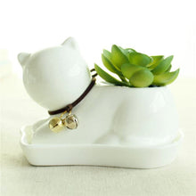 Cute Animal White Ceramic Flowerpot - Belly Pots