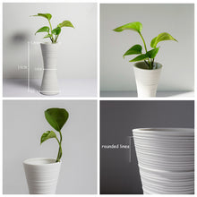 Modern Linear Design Ceramic Vase - Belly Pots