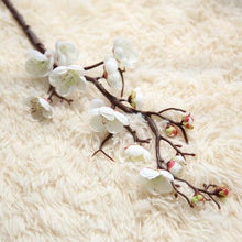 Plum Cherry Blossoms Artificial Silk flowers - Belly Pots