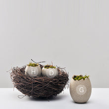Mini Imitation Eggshell Coarse Ceramic Vase - Belly Pots