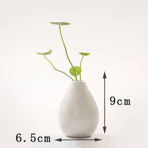 Creative Mini Ceramic Vase - 1pc - Belly Pots