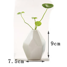 Creative Mini Ceramic Vase - 1pc - Belly Pots