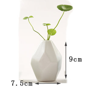 Creative Mini Ceramic Vase - 1pc - Belly Pots