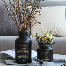 Nordic Black Glass Vases - Belly Pots