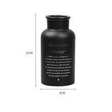 Nordic Black Glass Vases - Belly Pots