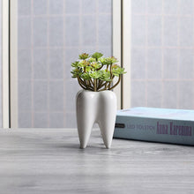 Tooth Shaped White Ceramic Flower Pot - Belly Pots