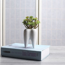 Tooth Shaped White Ceramic Flower Pot - Belly Pots