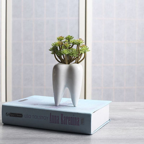 Tooth Shaped White Ceramic Flower Pot - Belly Pots