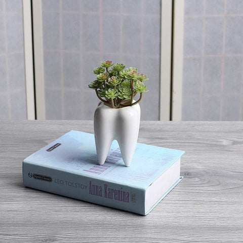 Tooth Shaped White Ceramic Flower Pot - Belly Pots